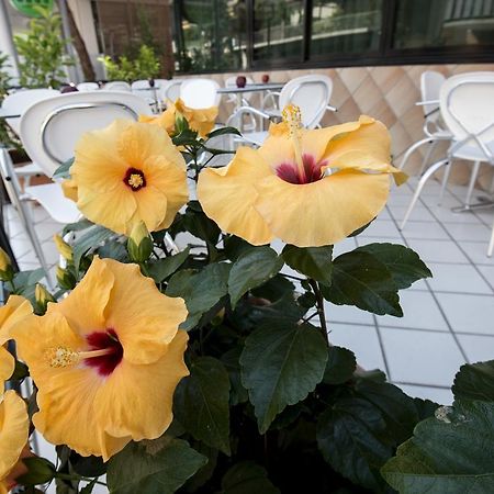 Hotel Scarlet Rimini Zewnętrze zdjęcie