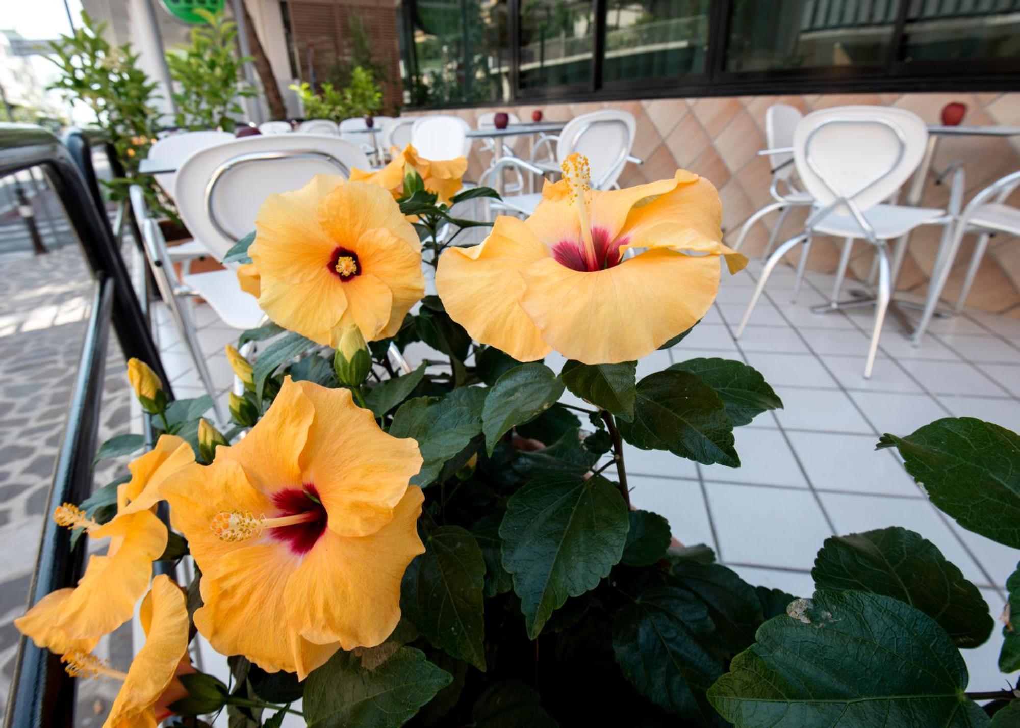 Hotel Scarlet Rimini Zewnętrze zdjęcie